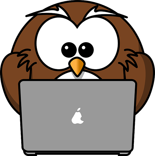 Owl at computer